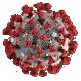 Virus